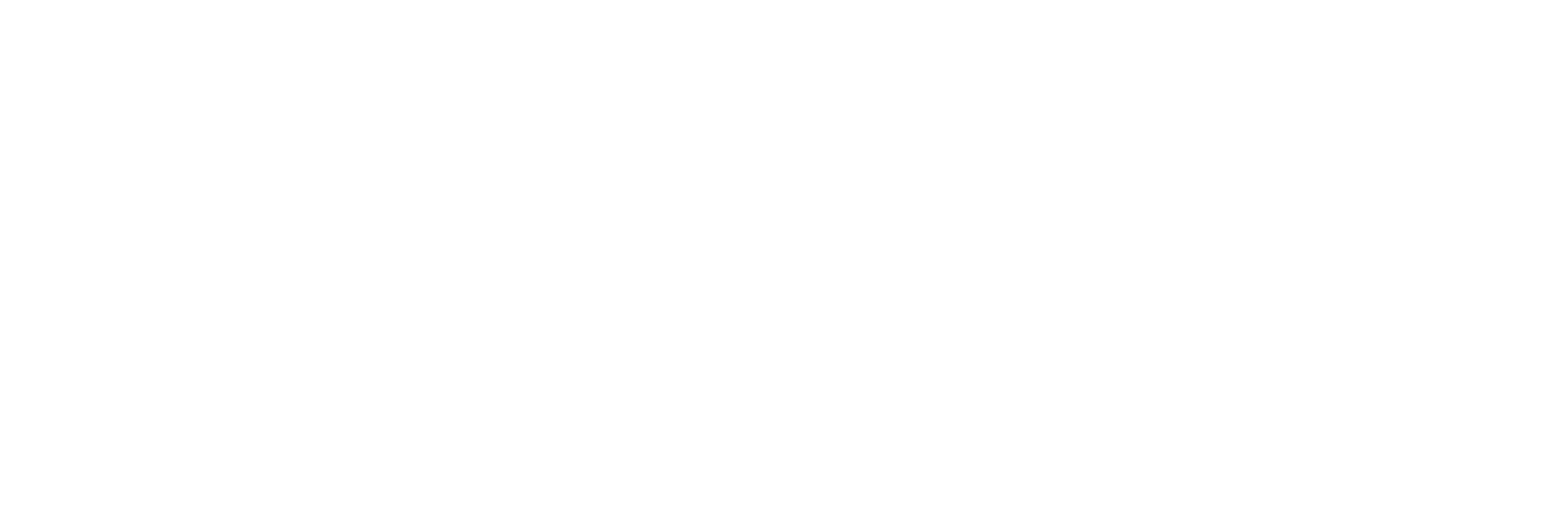 Shared Value Consultores